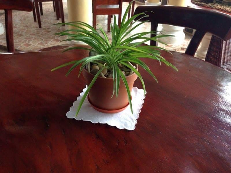 Liberty Park Pension Puerto Princesa Екстер'єр фото